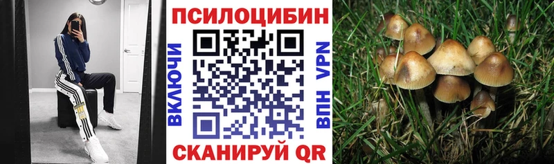 KRAKEN онион  Орехово-Зуево  Псилоцибиновые грибы ЛСД 